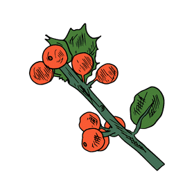 Poinsettia clipart