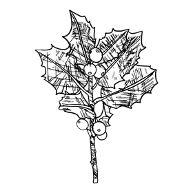 Poinsettia black and white clipart
