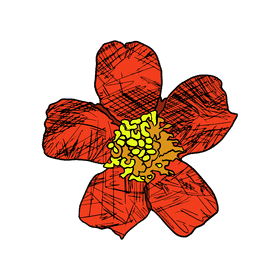 Marigold clipart