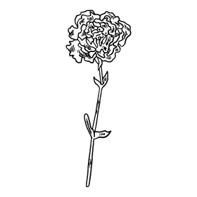 Carnation black and white clipart