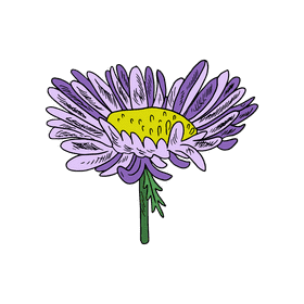 Aster flower clipart