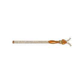Zipper clipart