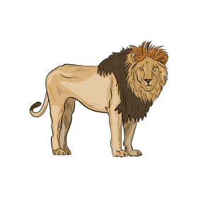 Wild cat Lion clipart