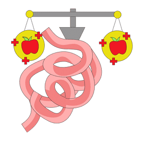 Intestine food neutralization clipart