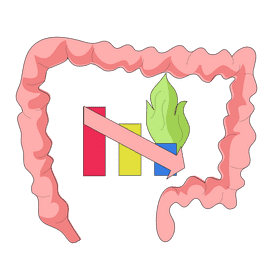 Intestine reduces acidity clipart