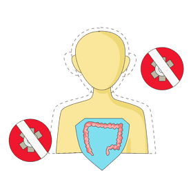 Intestine strong immune system clipart