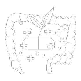 Intestine vitamin absorption black and white clipart