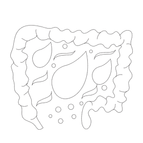 Intestine water absorpion black and white clipart