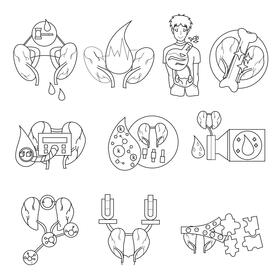 Kidney set black and white vector