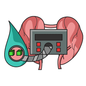 Kidney control blood sugar level clipart