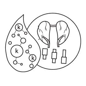 Kidney control calium in blood black and white clipart