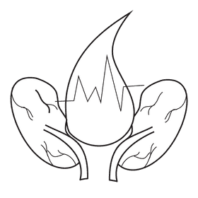 Kidney control pressure blood black and white clipart