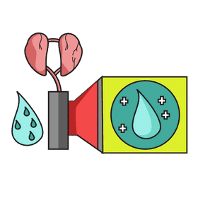 Kidney filter and clean blood clipart