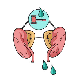 Kidney maxing urine clipart