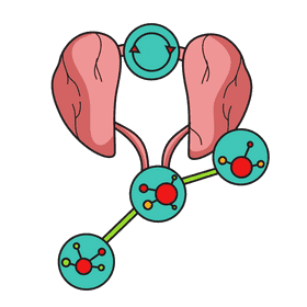 Kidney recycling subtance clipart