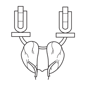 Kidney adjust level acid and base black and white clipart