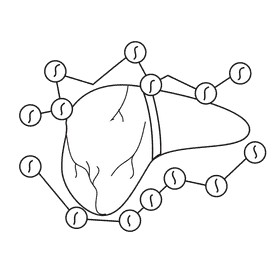 Liver avoid blood clots black and white clipart
