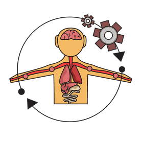 Liver control body circulation clipart