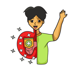 Liver human antybody clipart