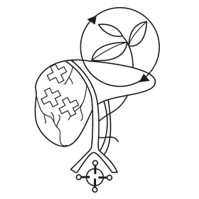 Liver detoxification black and white clipart