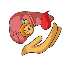 Liver save vitamin mineral clipart