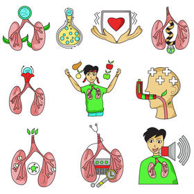 Lungs set vector