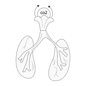 Lungs excretion carbon dioxide black and white clipart