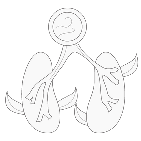 Lung breath black and white clipart