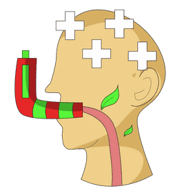 Lungs inhaler clipart