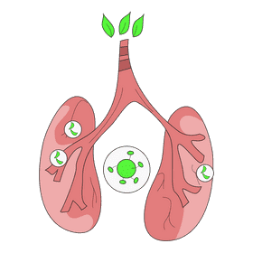 Lungs tuberculosis clipart