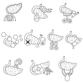 Pancreas set black and white vector