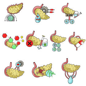 Pancreas set vector