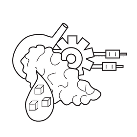 Pancreas control blood sugar black and white clipart