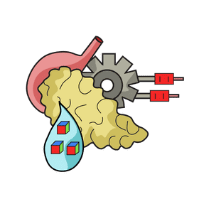 Pancreas control blood sugar clipart