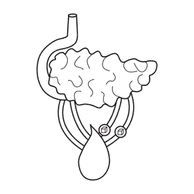 Pancreas reduce blood sugar black and white clipart