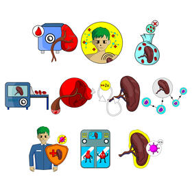 Spleen vector set vector