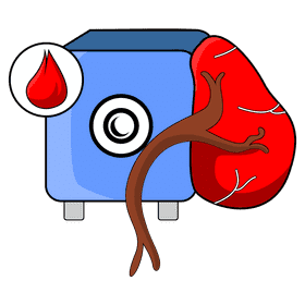 Spleen blood supply clipart