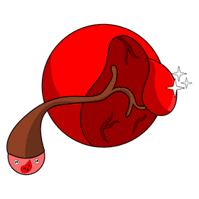 Spleen filter red blood cell clipart