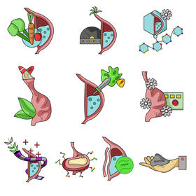 Stomach set vector