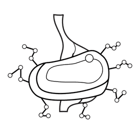Stomach break foods molecules black and white clipart