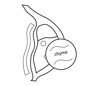 Stomach chyme produces black and white clipart