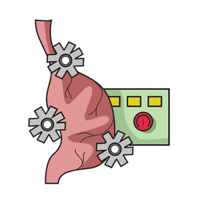 Stomach digest food clipart