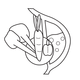 Stomach food storage black and white clipart