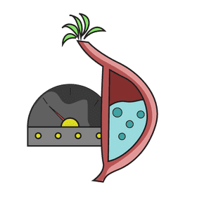 Stomach reduce stomach acid clipart