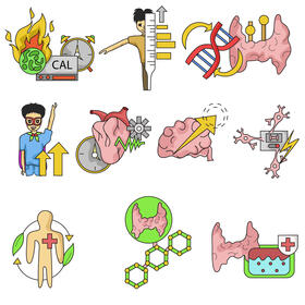 Thyroid set vector