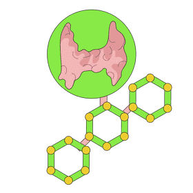 Thyroid hormone produces clipart
