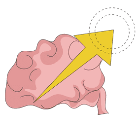 Thyroid optimize brain growth clipart