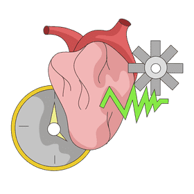 Thyroid regulate heart beat clipart