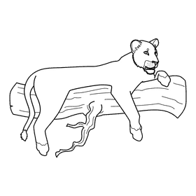 Lioness In A Tree black and white clipart
