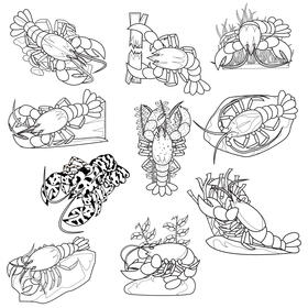 Lobster Set black and white vector